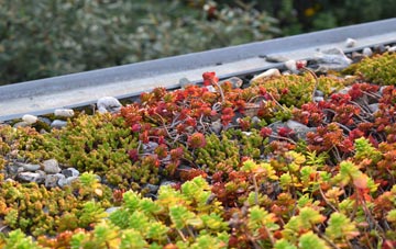 the cost of Lackagh green roof installation
