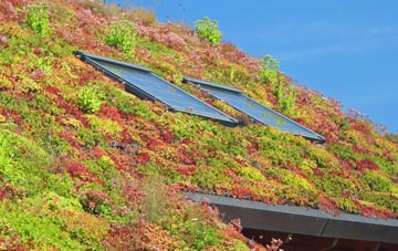 Lackagh living roof systems